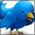 Siga o que falam do RapaduraCast no Twitter!